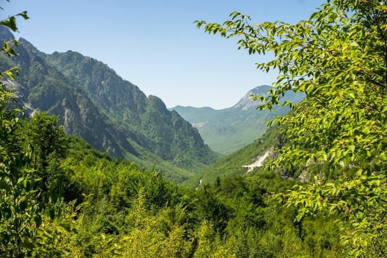 The Grape Routes of Herzegovina